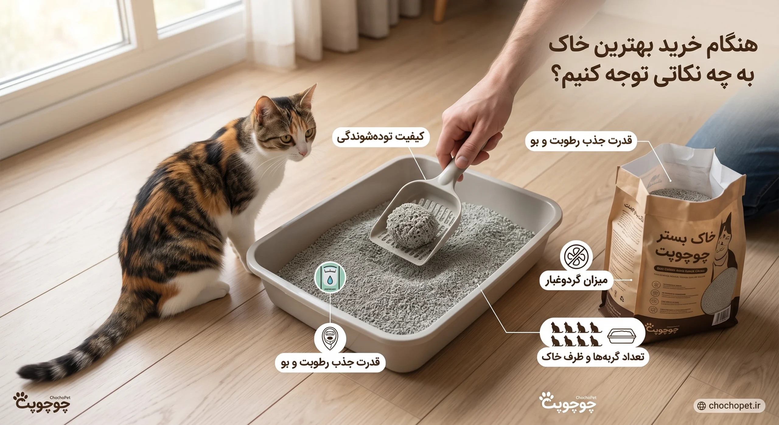 خاک بستر گربه