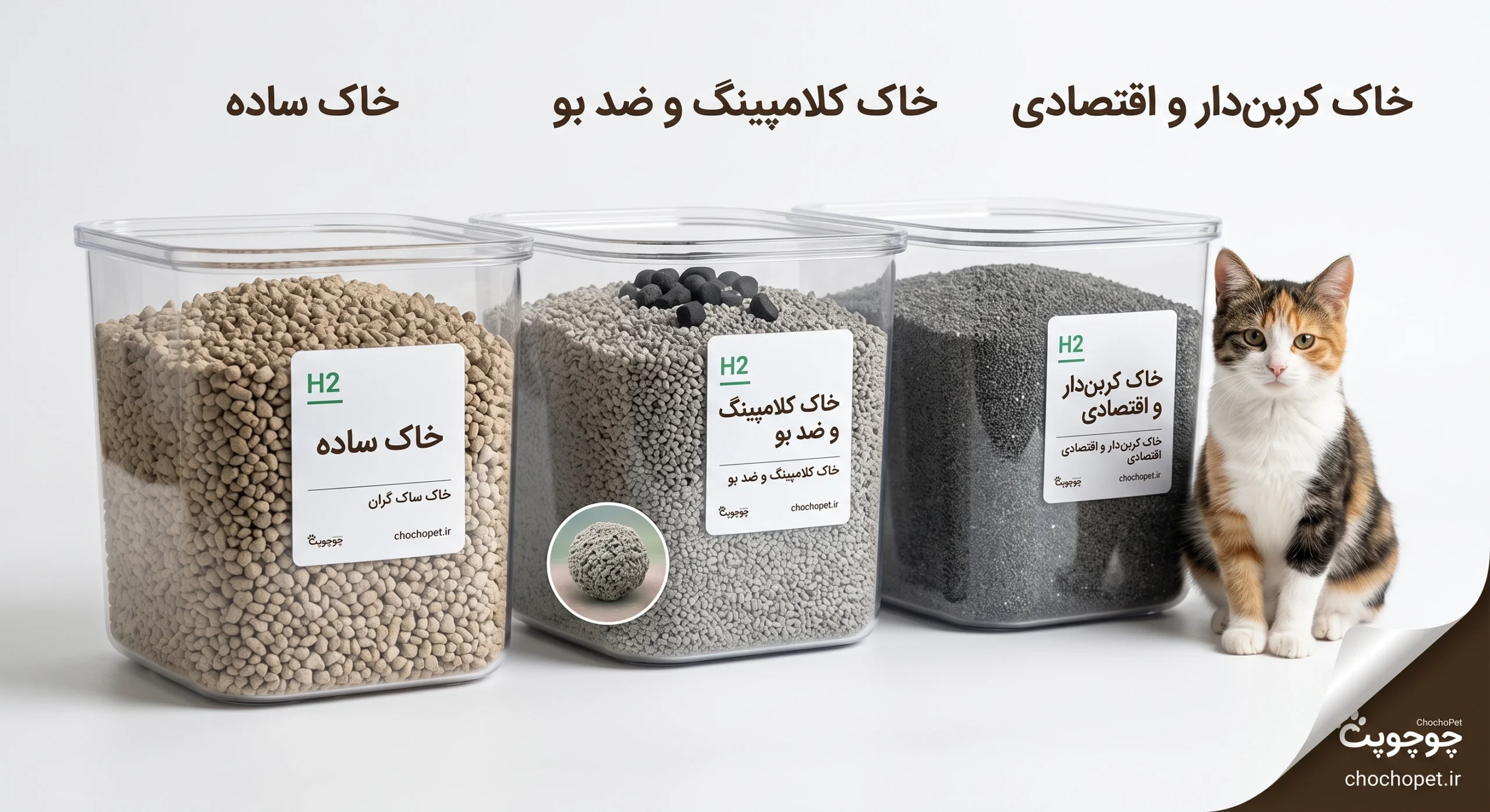 انواع خاک گربه