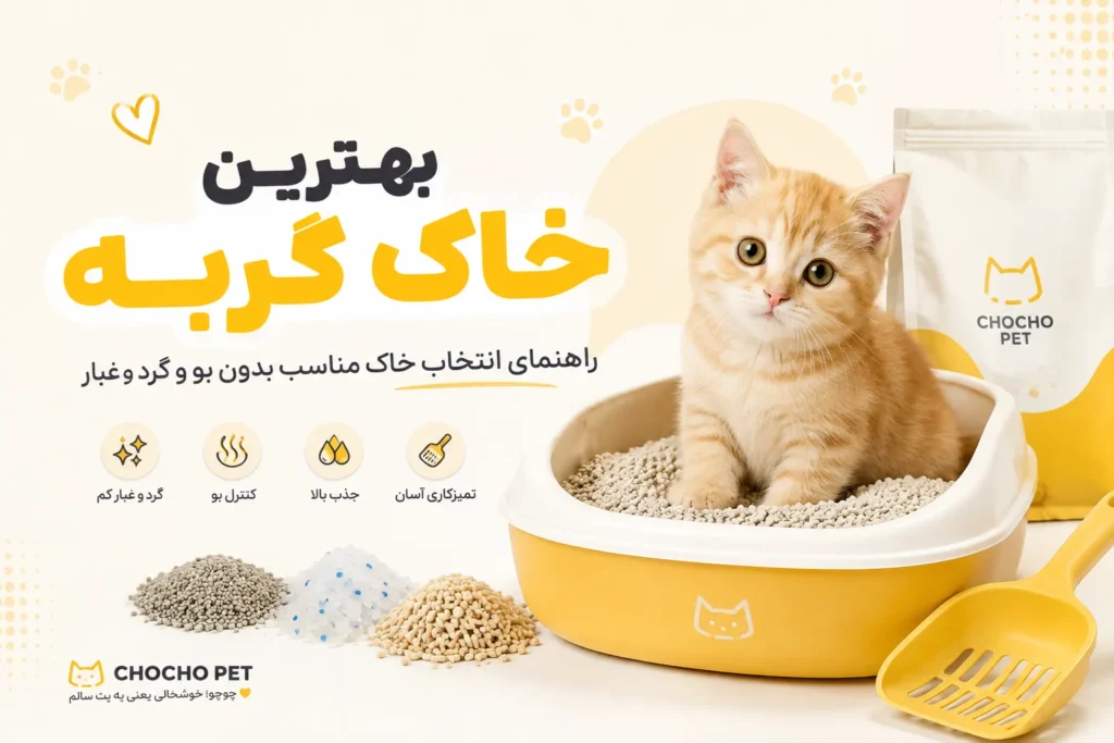 بهترین خاک گربه و انواع خاک گربه