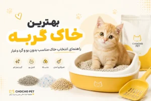 بهترین خاک گربه و انواع خاک گربه