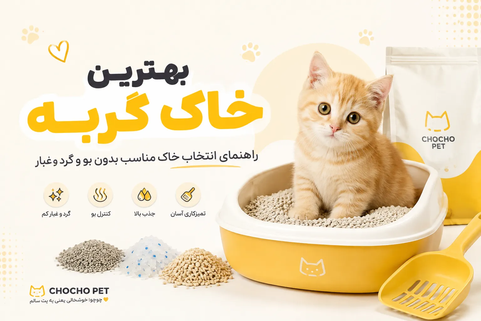 بهترین خاک گربه و انواع خاک گربه