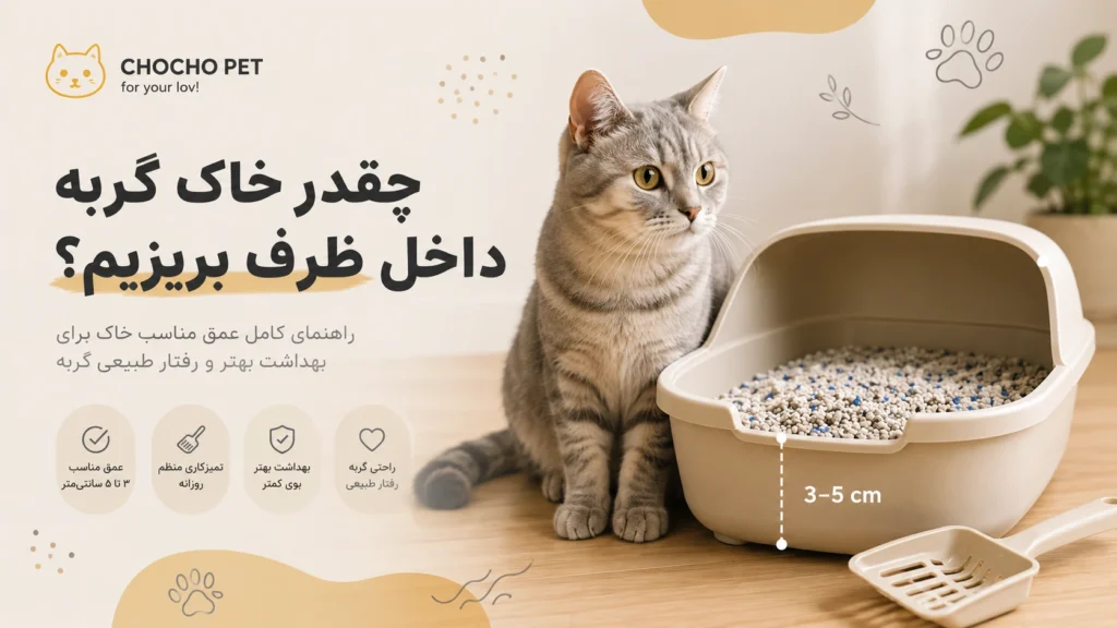 عمق خاک گربه