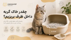 عمق خاک گربه