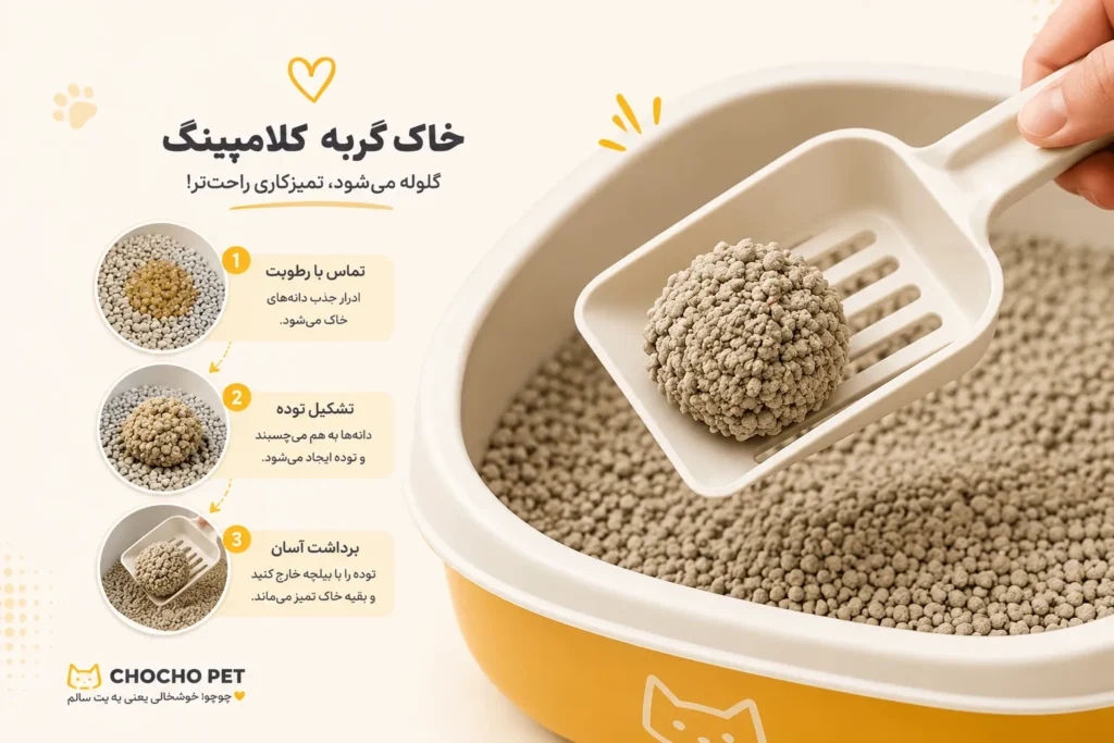 گربه در حال خروج از ظرف خاک روی زیرانداز مخصوص