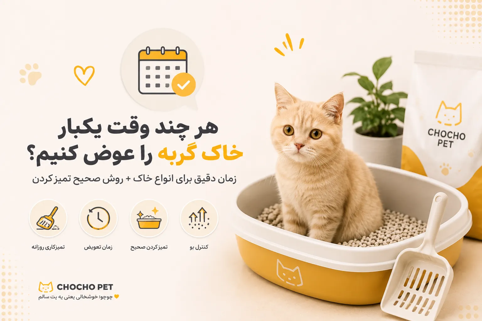 زمان تعویض خاک گربه و روش صحیح تمیز کردن ظرف خاک