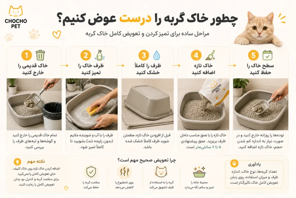 مراحل صحیح تعویض و تمیز کردن ظرف خاک گربه
