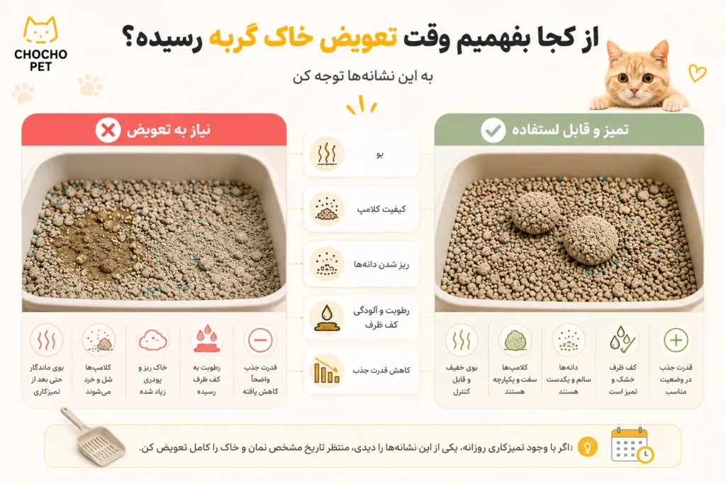 نشانه‌های کثیف و اشباع شدن خاک گربه و زمان تعویض آن