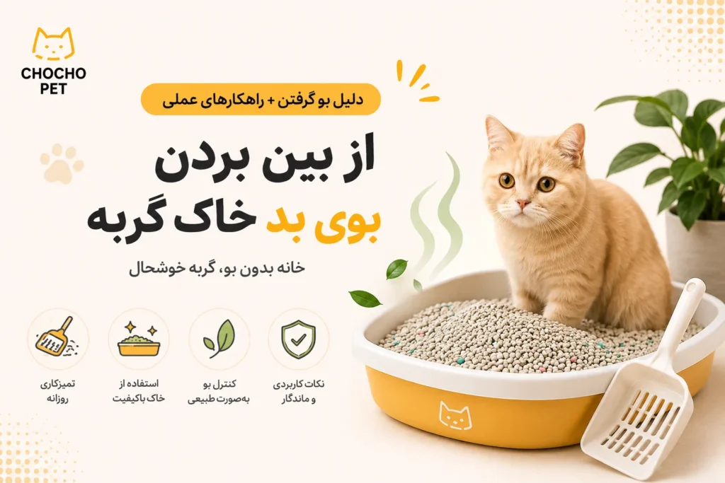 از بین بردن بوی بد خاک گربه