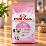 غذای خشک بچه گربه رویال کنین Kitten کیتن
